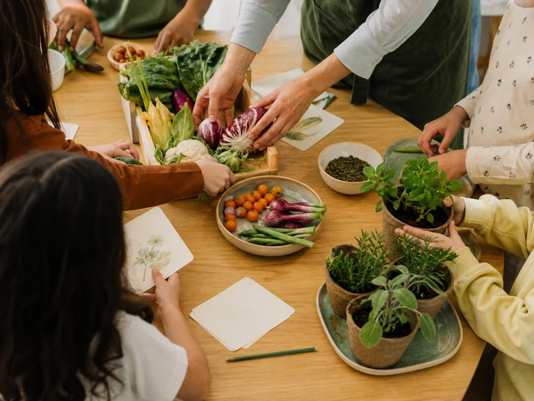 Hands sorting vegetables and planting herbs during a food-learning activity
